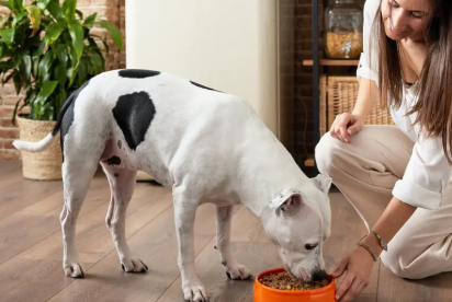 Beruby_feed_image_8166