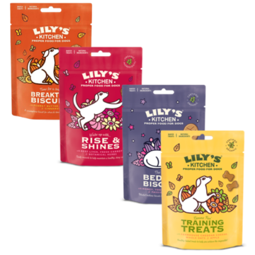 Lily's Kitchen Dog Biscotti Bio