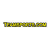 Logo Teamsports.com