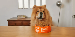 Fondo Dogfy Diet