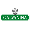 Logo Galvanina